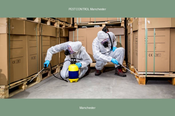 PEST CONTROL Manchester